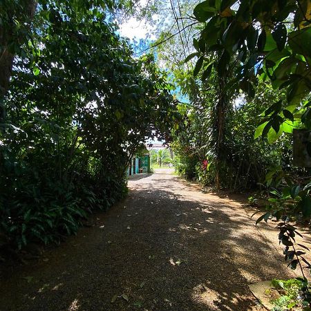 ArrepentidosAndrea Cristina住宿加早餐旅馆 外观 照片