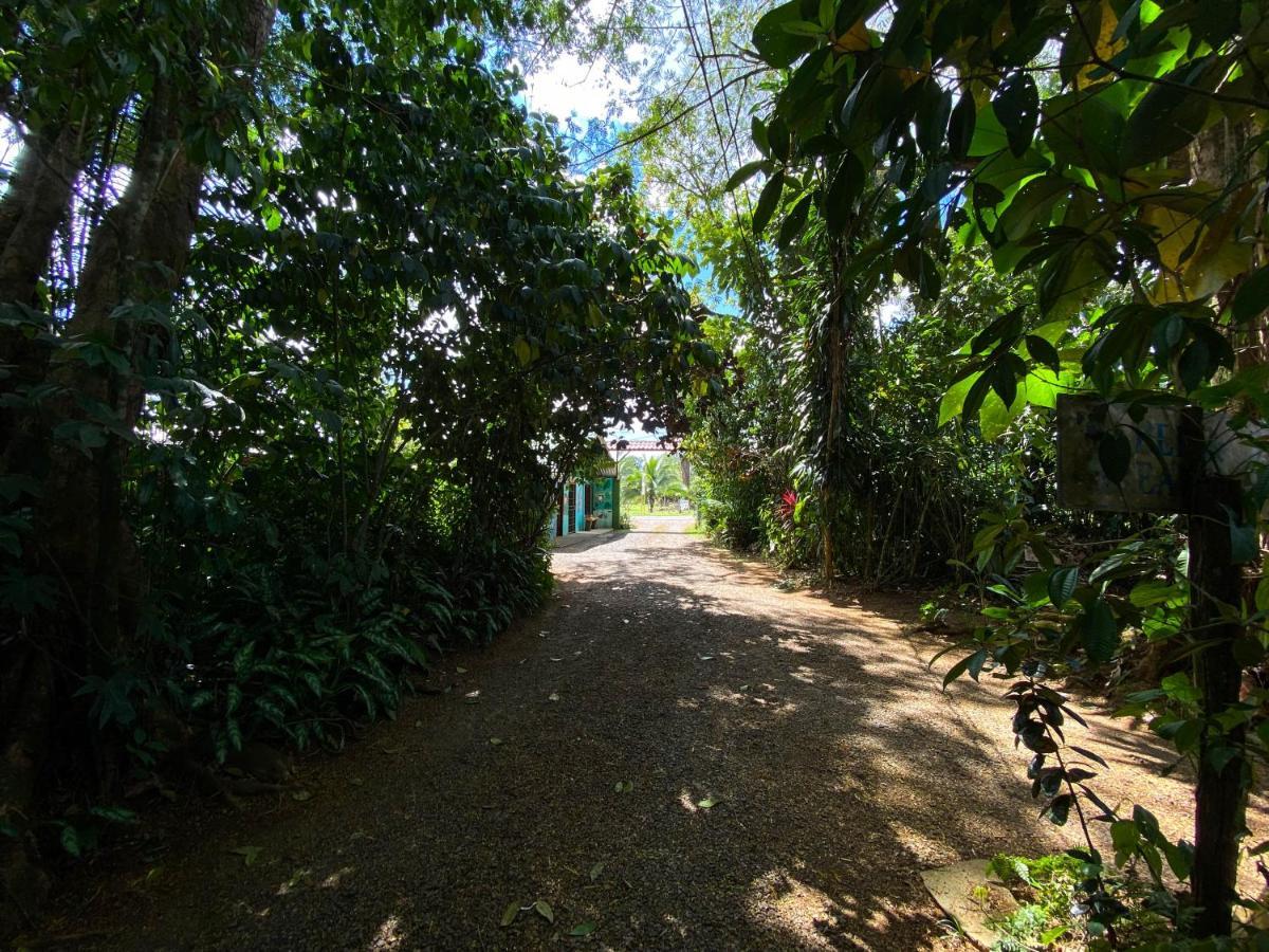 ArrepentidosAndrea Cristina住宿加早餐旅馆 外观 照片