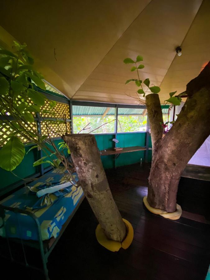 ArrepentidosAndrea Cristina住宿加早餐旅馆 外观 照片