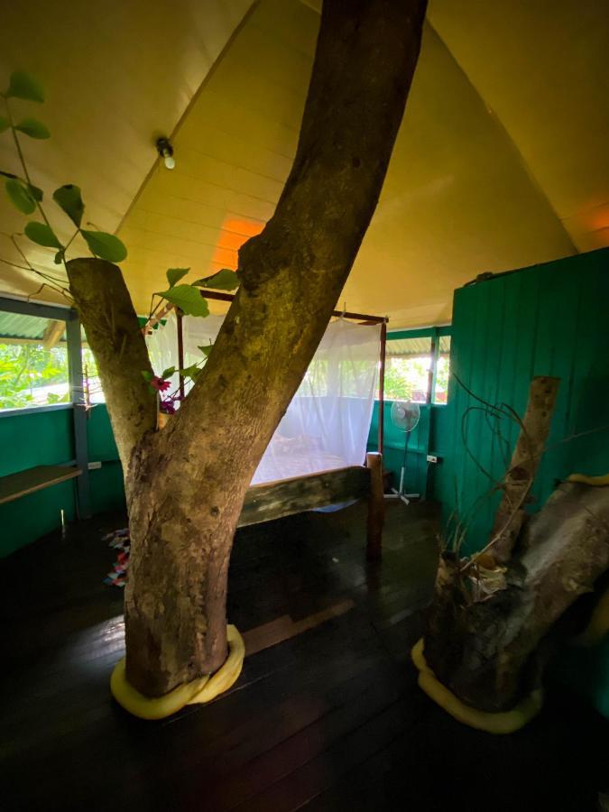 ArrepentidosAndrea Cristina住宿加早餐旅馆 外观 照片