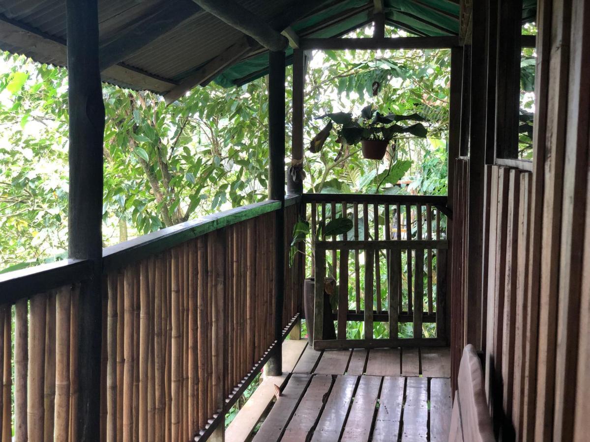 ArrepentidosAndrea Cristina住宿加早餐旅馆 外观 照片